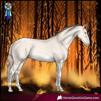Horse Color:Perlino Tobiano Rabicano 