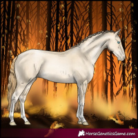 Horse Color:Classic Cream Champagne Pearl Tobiano Rabicano 