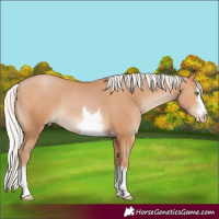 Horse Color:Silver Brown Pearl