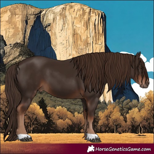 Horse Color:Liver Chestnut