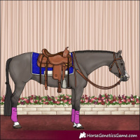 Horse Color:Smoky Grullo 