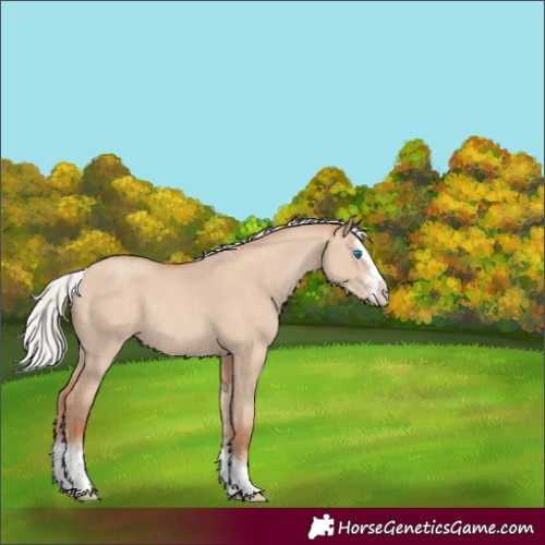 Horse Color:Silver Classic Champagne Dun Sabino Splash 