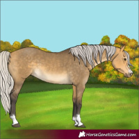 Horse Color:Silver Buckskin Dun 