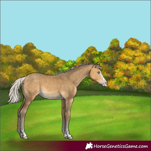 Horse Color:Silver Sable Cream Champagne