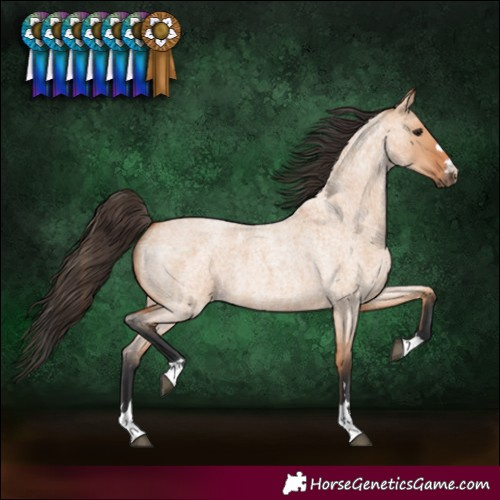 Horse Color:Bay Roan Dun 