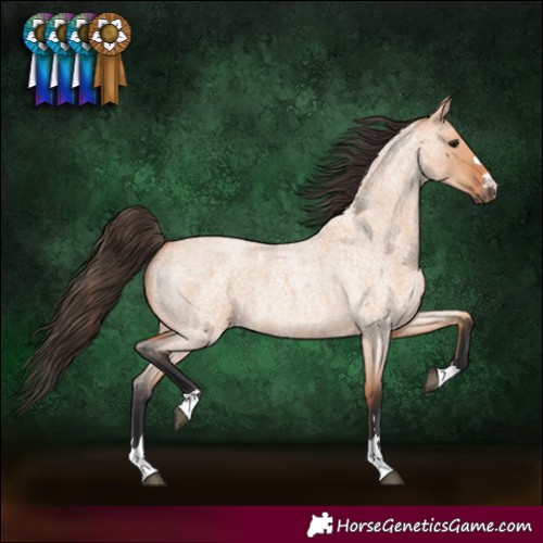 Horse Color:Bay Roan Dun 