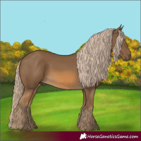 Horse Color:Chocolate Palomino