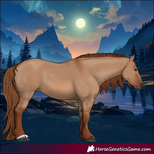 Horse Color:Red Dun 