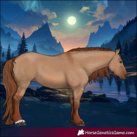 Horse Color:Red Dun 