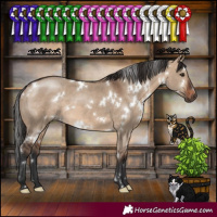 Horse Color:White Spotted Brown Dun 