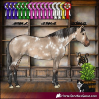 Horse Color:White Spotted Brown Dun 