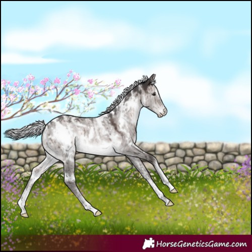 Horse Color:Powder White Platinum White Spotted Silver Brown Dun Brindle 