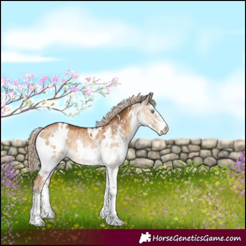 Horse Color:Gray White Spotted Chocolate Palomino Pearl Dun Brindle 