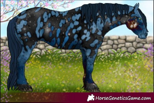 Horse Color:ERROR: UNKNOWN ANOMALY