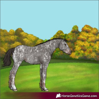 Horse Color:Liver Chestnut Ice 