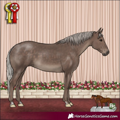 Horse Color:Silver Black 