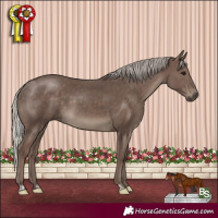 Horse Color:Silver Black