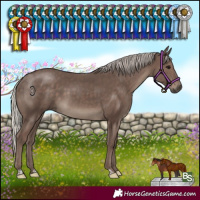 Horse Color:Silver Black