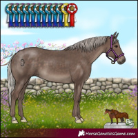 Horse Color:Silver Black