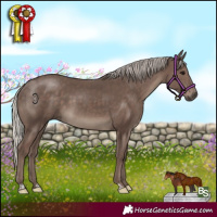 Horse Color:Silver Black 
