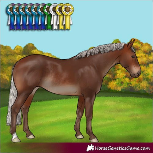 Horse Color:Silver Brown Rabicano 