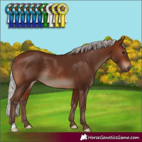 Horse Color:Silver Brown Rabicano 