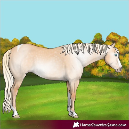 Horse Color:Gray Cremello Dun Splash Tobiano 