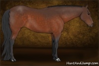 Horse Color:Brown 