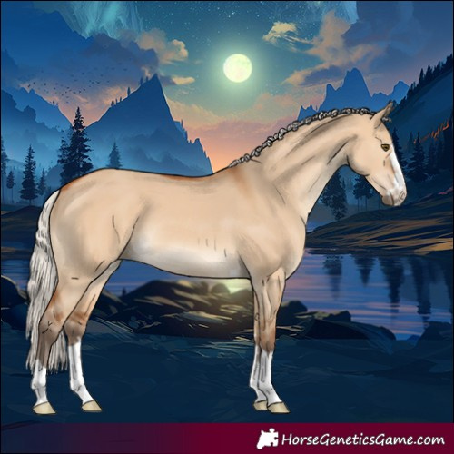 Horse Color:Silver Bay Dun 