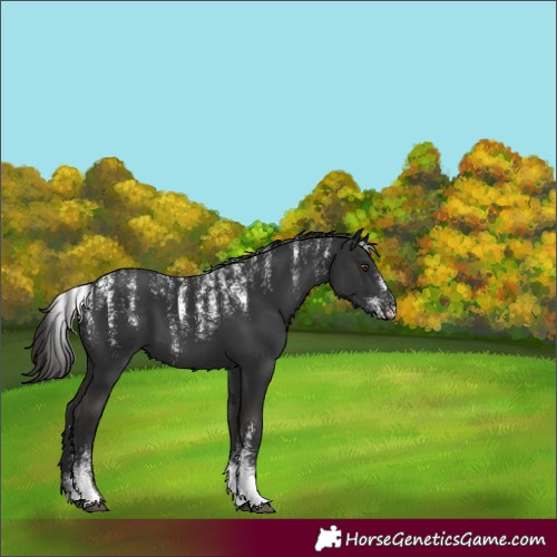 Horse Color:Powder White Liver Chestnut 
