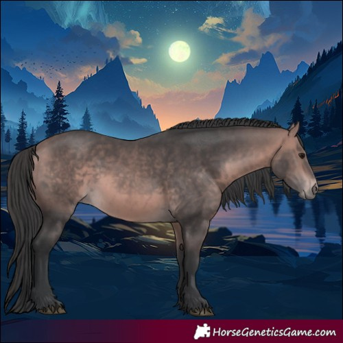Horse Color:Platinum White Spotted Bay 