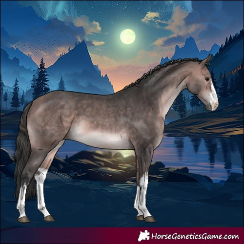 Horse Color:Platinum White Spotted Bay 