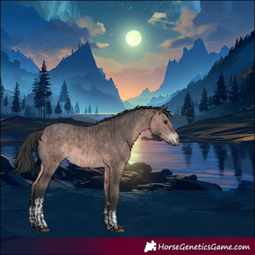 Horse Color:Platinum White Spotted Brown  and Platinum Bay 