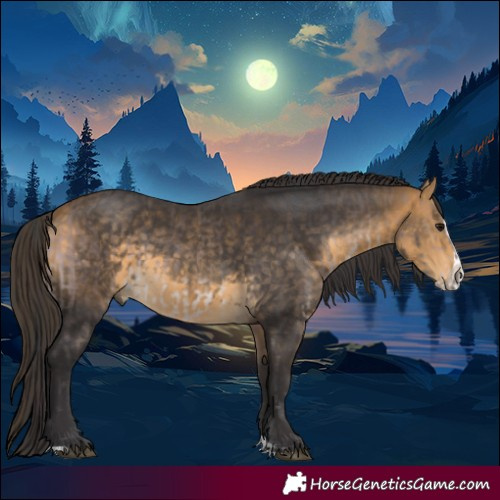 Horse Color:Platinum Bay  and Buckskin Splash 