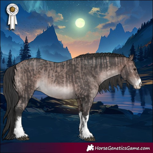Horse Color:Platinum White Spotted Bay  and Platinum White Spotted Brown 