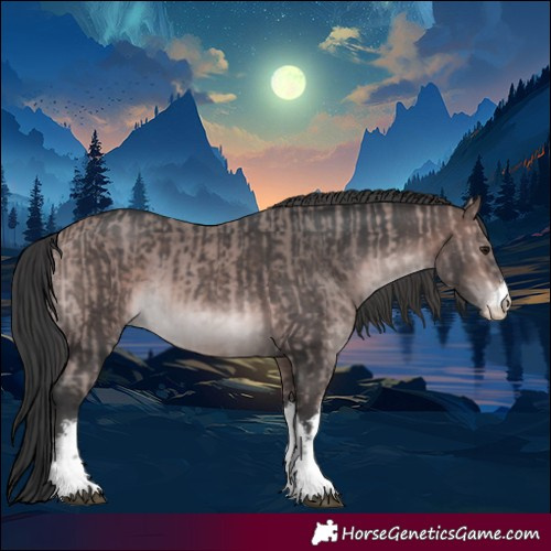 Horse Color:Platinum White Spotted Bay  and Platinum White Spotted Brown 
