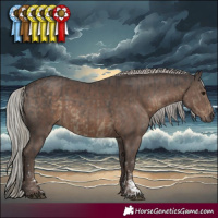 Horse Color:Silver Smoky Black Mushroom Sabino and Silver Black Mushroom Sabino
