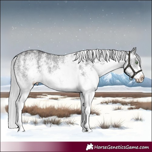 Horse Color:Platinum White Spotted Silver Buckskin Dun Rabicano 