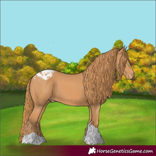 Horse Color:Chestnut Tobiano Blanket