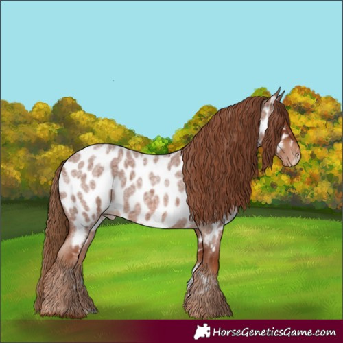 Horse Color:Red Roan Near Leopard
