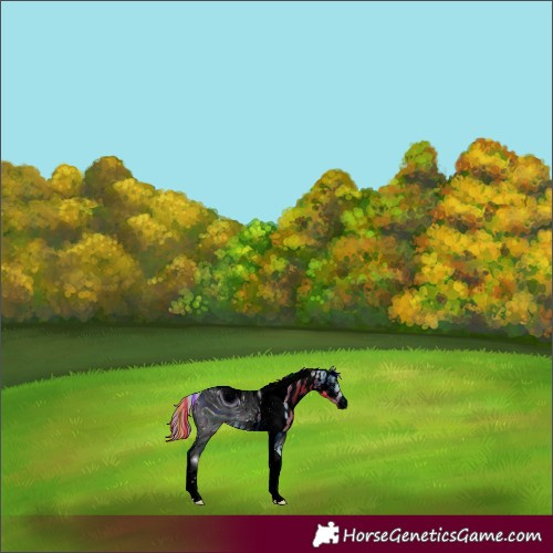 Horse Color:ERROR: UNKNOWN ANOMALY