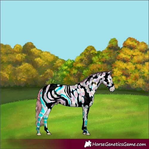 Horse Color:ERROR: UNKNOWN ANOMALY