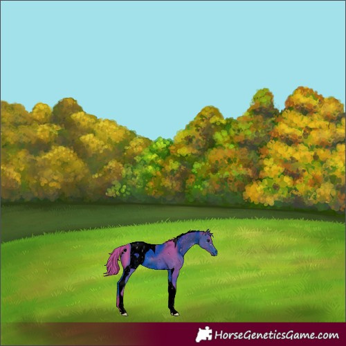 Horse Color:ERROR: UNKNOWN ANOMALY