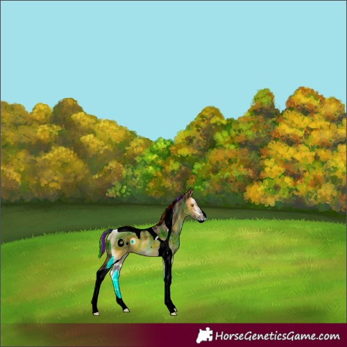 Horse Color:ERROR: UNKNOWN ANOMALY