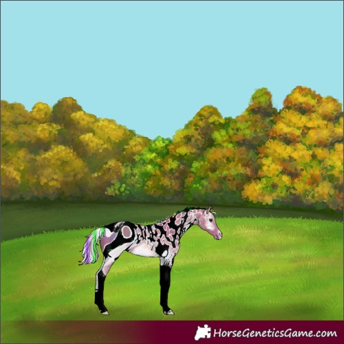 Horse Color:ERROR: UNKNOWN ANOMALY