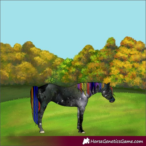 Horse Color:ERROR: UNKNOWN ANOMALY