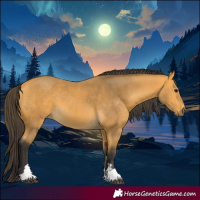 Horse Color:Buckskin 