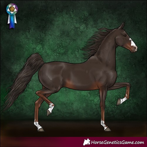 Horse Color:Liver Chestnut 