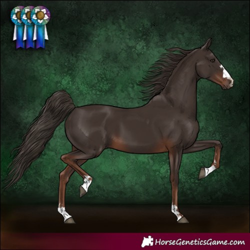 Horse Color:Liver Chestnut 