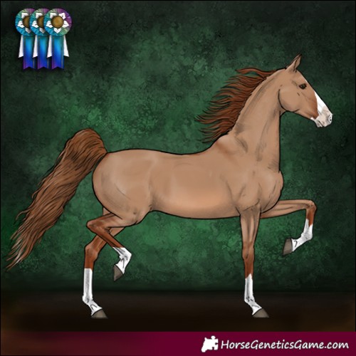 Horse Color:Red Dun Splash 